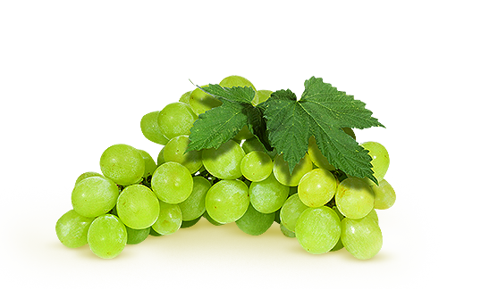 Hrozno biele. / 1kg